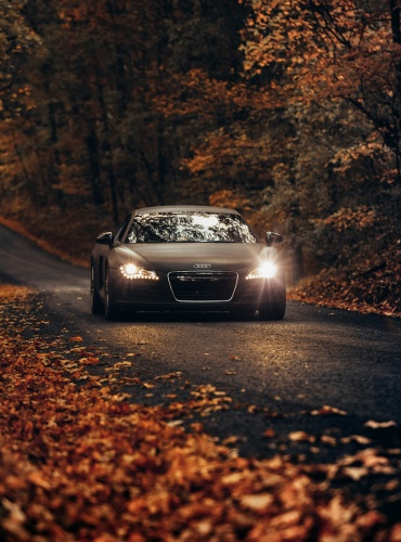 muz blogs, muzblogs.com,